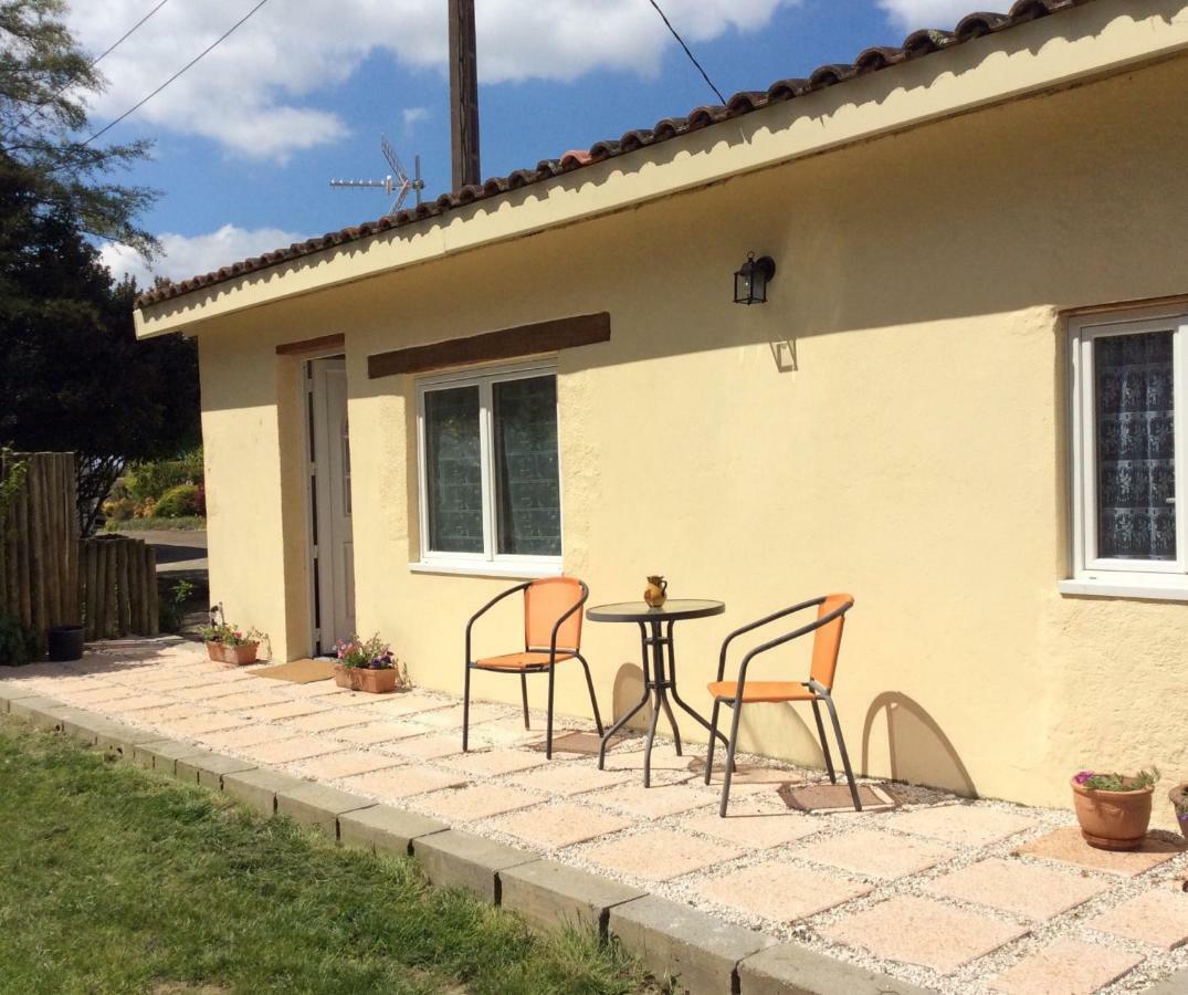 Gite De Cerisier Saint-Nicolas-de-la-Grave Εξωτερικό φωτογραφία